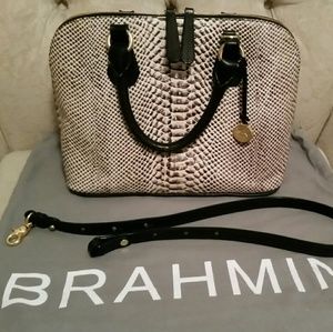 Brahmin Purse